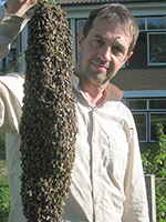 Peter Heel, Peter Heel mit Bienenschwarm